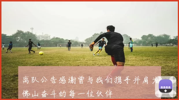 离队公告感谢曾与我们携手并肩为佛山奋斗的每一位伙伴