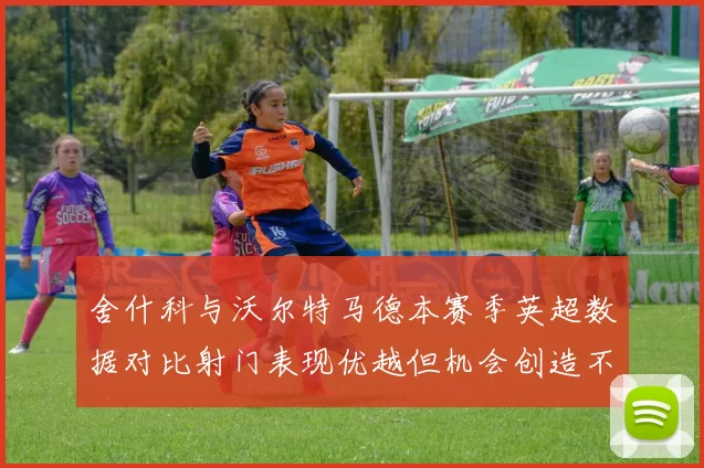 舍什科与沃尔特马德本赛季英超数据对比射门表现优越但机会创造不足